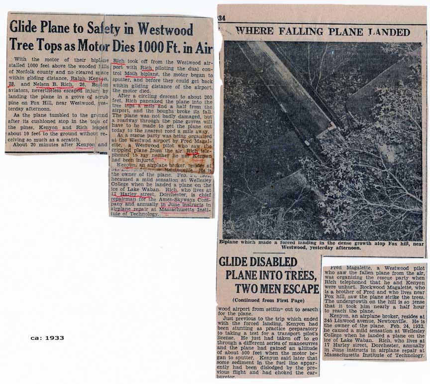 Bud lands in the trees. Bud lands in the trees.